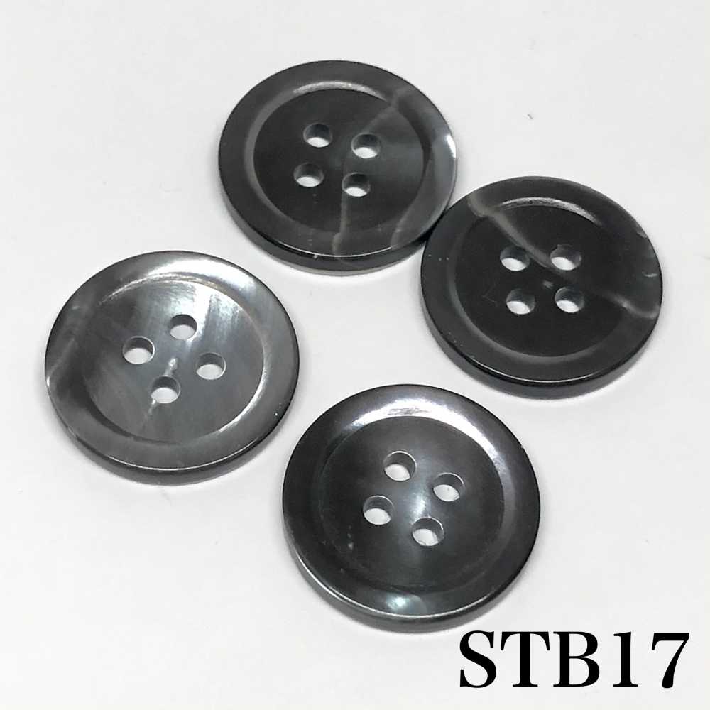 STB17 Bouton De Coque Principale-fumé- IRIS