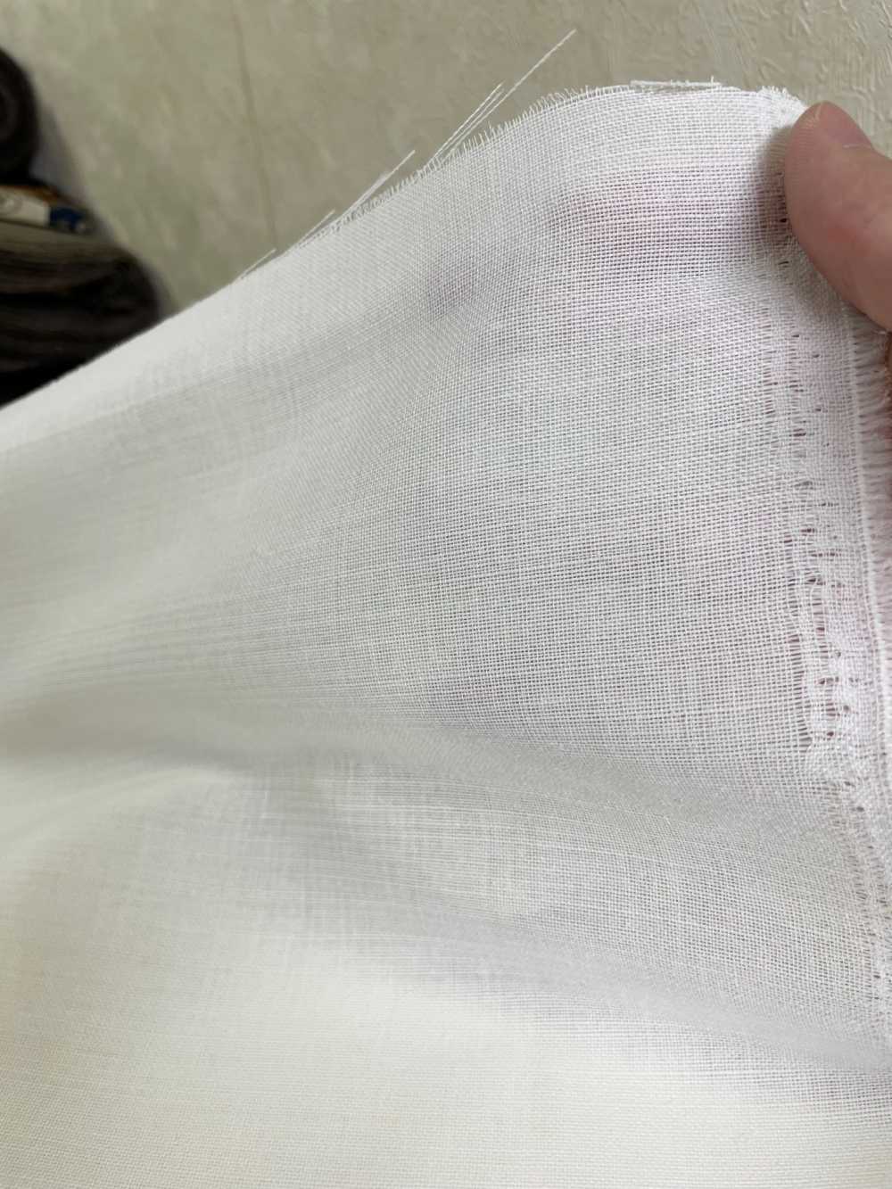 497 Japon Production Original Roll Haircloth Entoilage Blanc TAKOH
