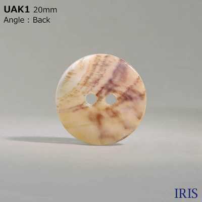 UAK1 Matériau Naturel Shell Teint Trou Avant 2 Trous Bouton Brillant IRIS Sous-photo