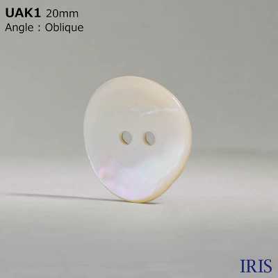 UAK1 Matériau Naturel Shell Teint Trou Avant 2 Trous Bouton Brillant IRIS Sous-photo