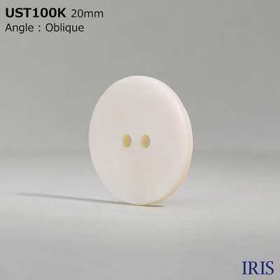 UST100K Teinture De Matériau Naturel Trou Avant 2 Coquille Coquille Coquille Bouton Mat IRIS Sous-photo