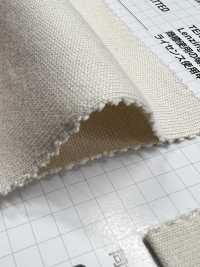 405 30// Coton, Tencel &# Jersey; T-shirt En Fibre Modale (Fonction UV)[Fabrication De Textile] VANCET Sous-photo