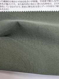 43286 Nylon Taslan Oxford Oni Veggie[Fabrication De Textile] SUNWELL Sous-photo