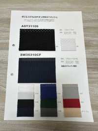 AST31109 Polyester Cation 2WAY Maille[Fabrication De Textile] Étirement Du Japon Sous-photo