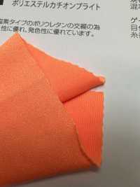 AP61491 Cation De Polyester Brillant[Fabrication De Textile] Étirement Du Japon Sous-photo