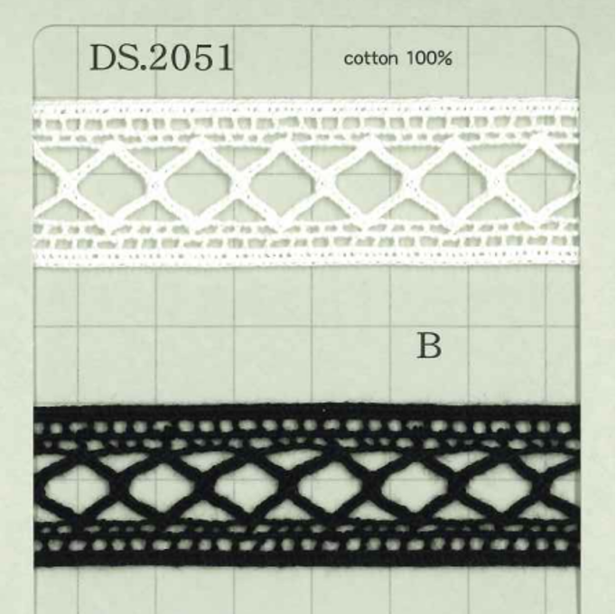 DS2051 Largeur De La Dentelle En échelle : 21 mm Daisada