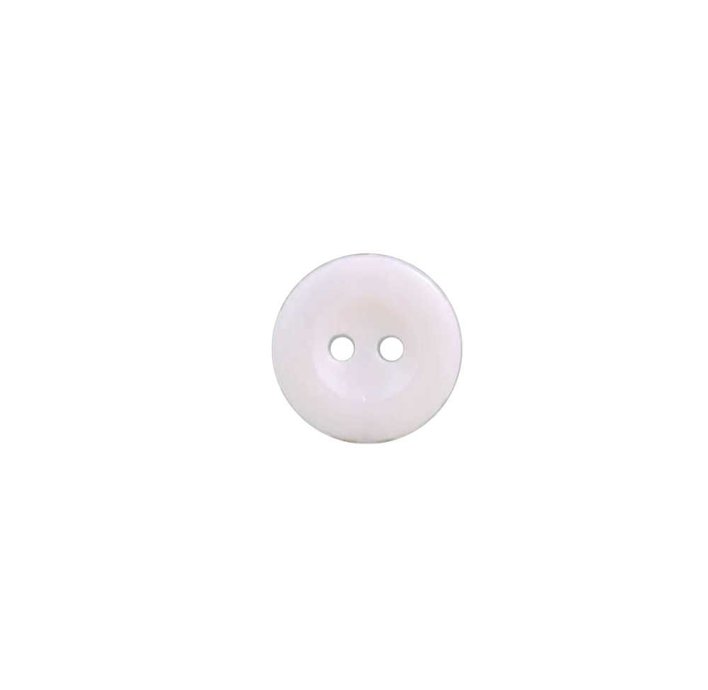 ECG2102P Bouton à Deux Trous En Résine Polyester IRIS
