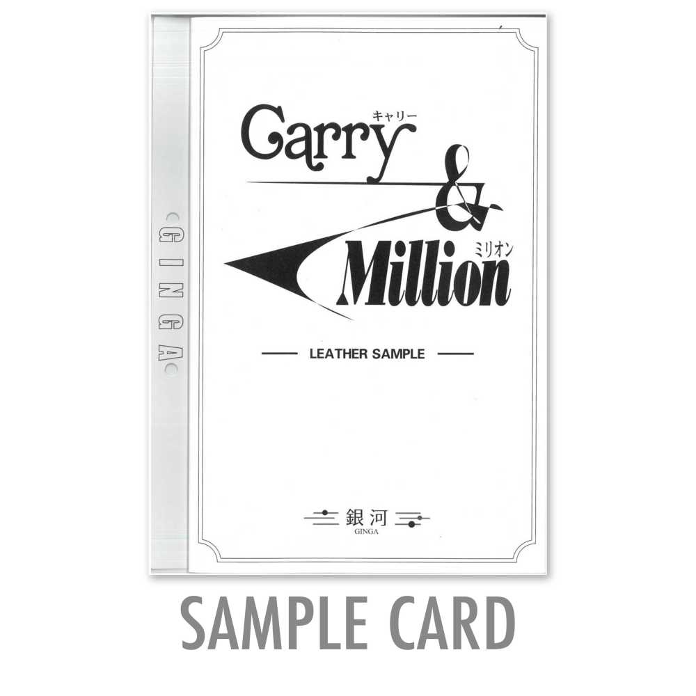 GINGA-SAMPLE2 Carte D