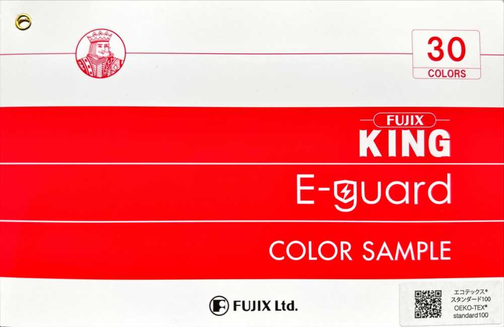 FUJIX-SAMPLE-31 Carte D