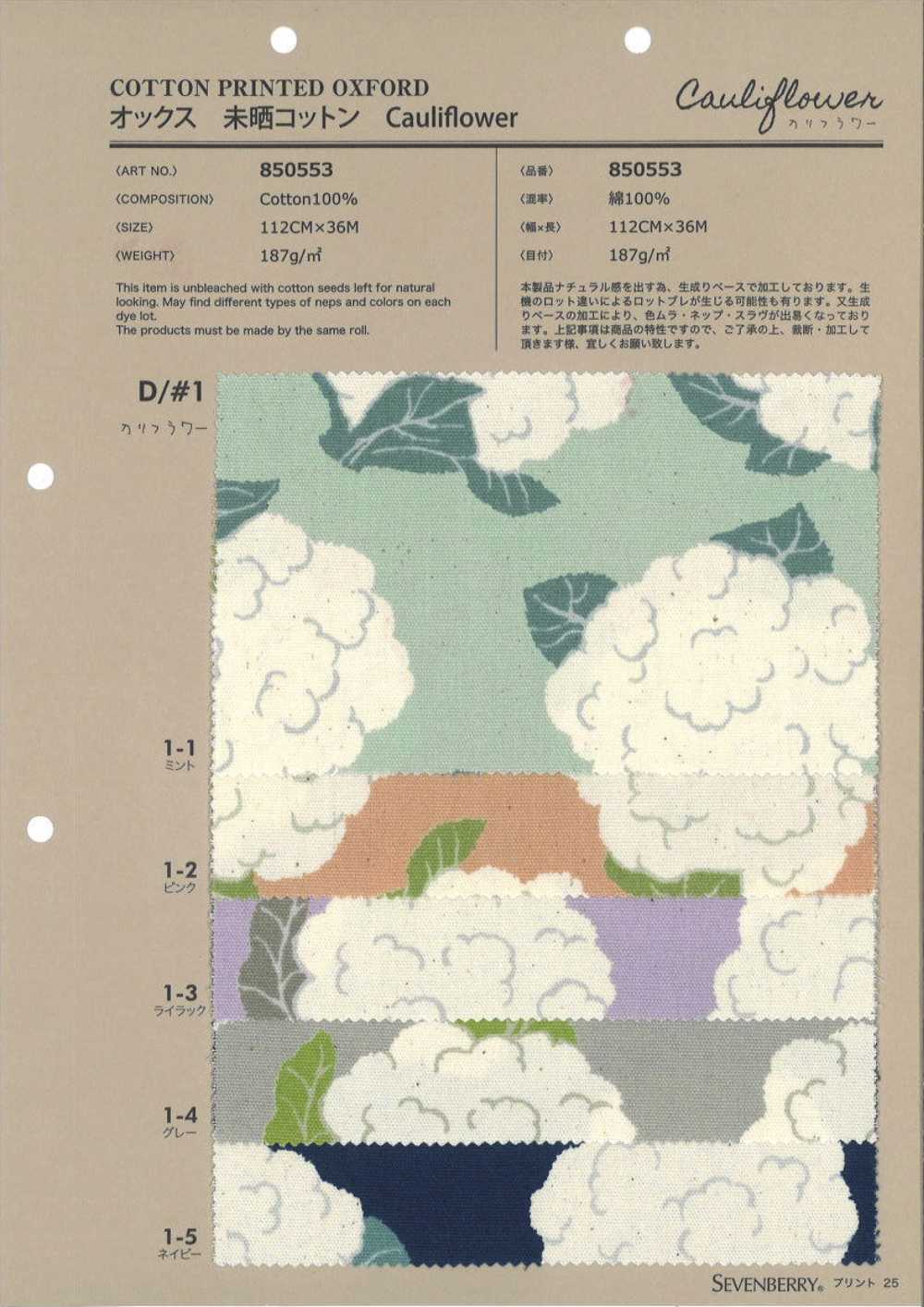 850553 Chou-fleur En Coton Oxford Non Blanchi[Fabrication De Textile] VANCET