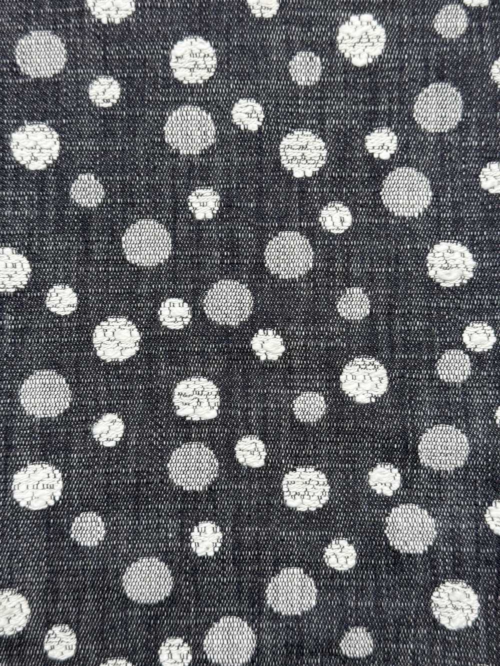FY1044-24 Denim Jacquard à Pois[Fabrication De Textile] DUCK TEXTILE