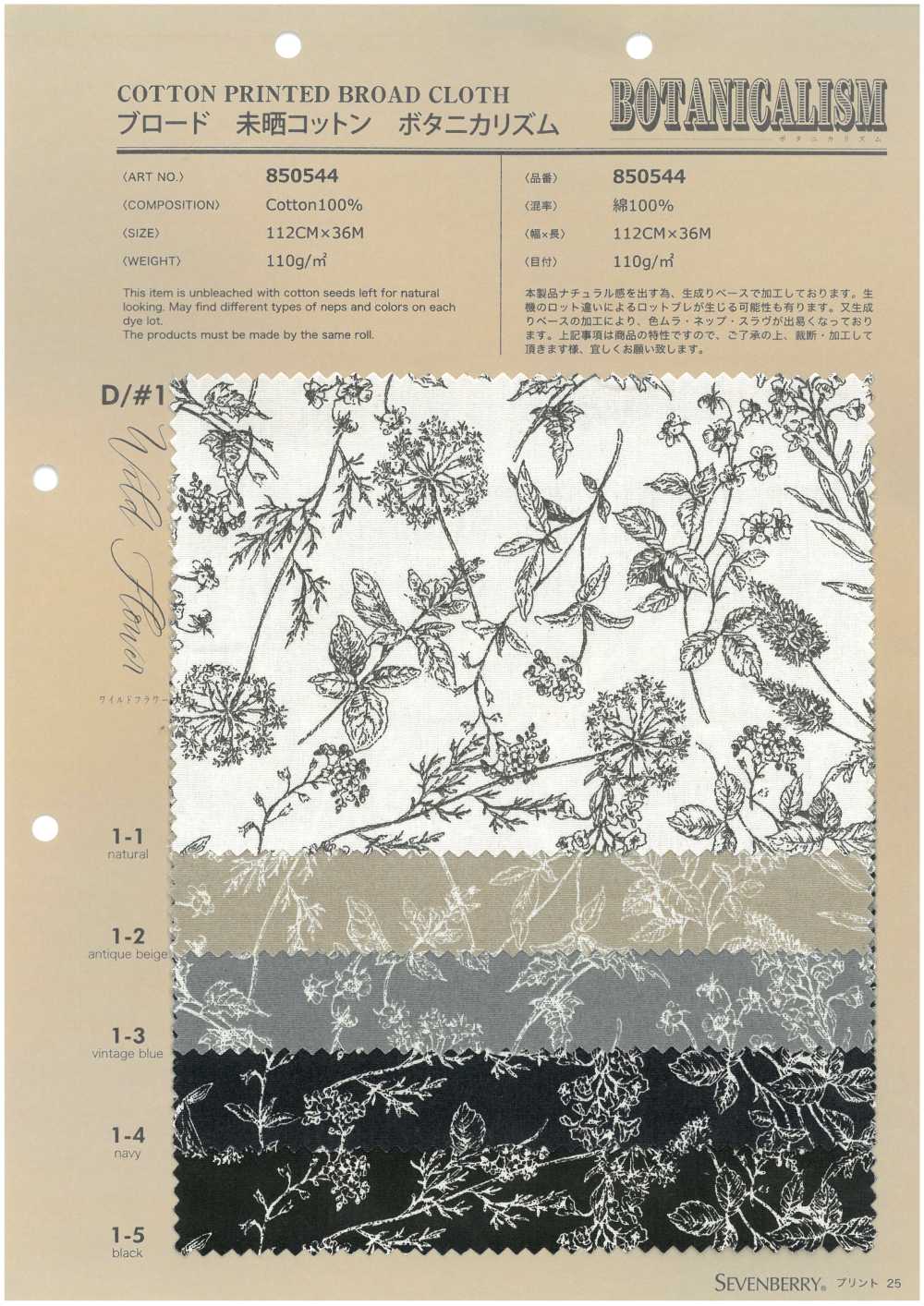 850544 Popeline De Coton écru, Motif Floral Sauvage à Rythme Botanique[Fabrication De Textile] VANCET