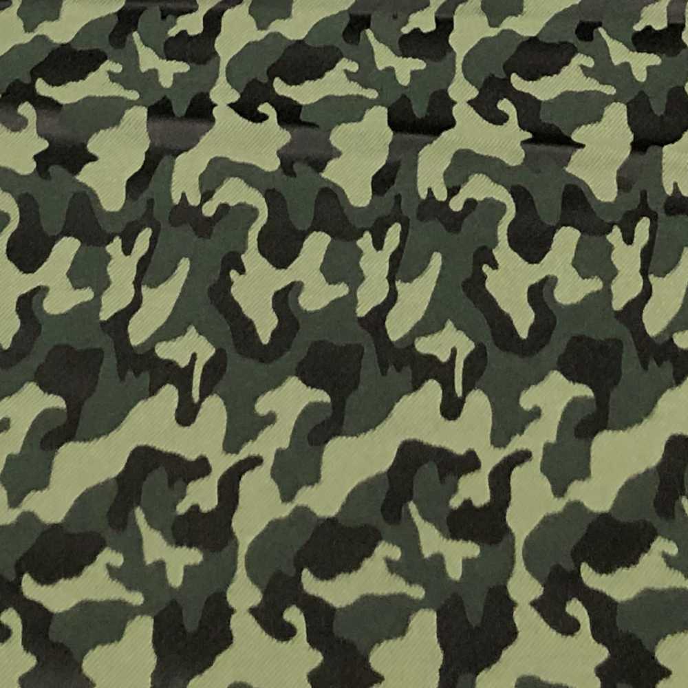 PTS-2 Pentagono (Motif De Camouflage Textile En Soie [sortie]