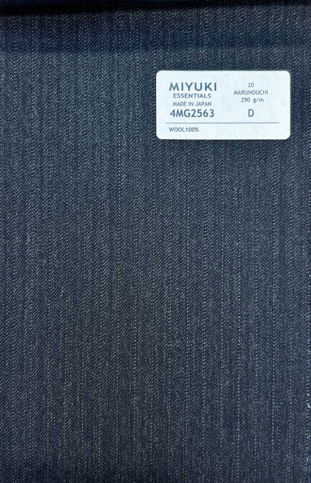 4MG2563 ESSENTALS MARUNOUCHI Gris Anthracite Ciel[Textile] Miyuki Keori (Miyuki)