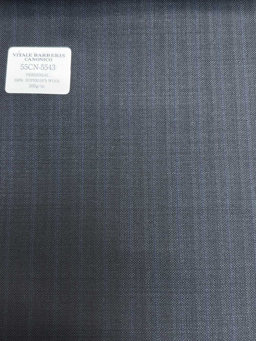 55CN5543 Canonico Perennial Super110 à Rayures Bleu Marine[Textile] CANONIQUE