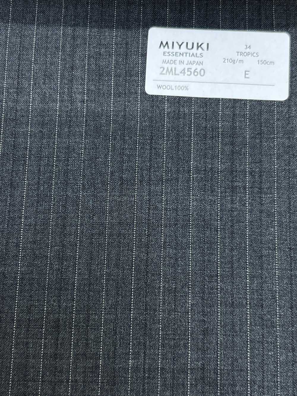 2ML4560 Collection Miyuki Essentials 26SS MIYUKI Essentials TROPICS Gris Anthracite à Rayures[Textile] Filatures De Laine Miyuki