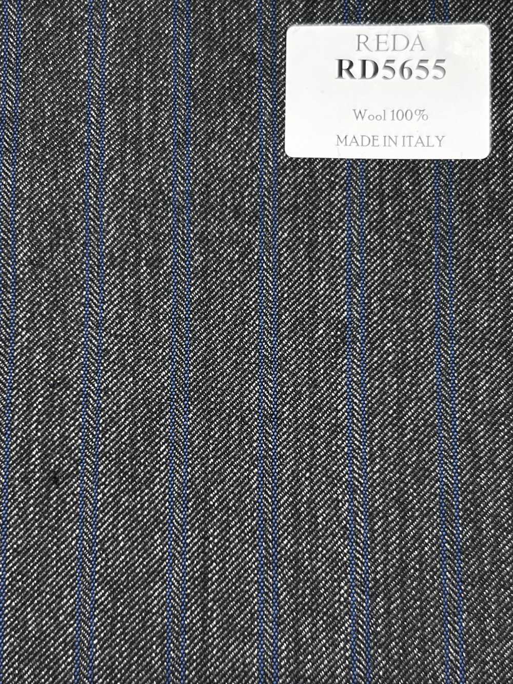 RD5655 REDA Gris × Rayures bleues[Tissu] HOSOI SYOJI