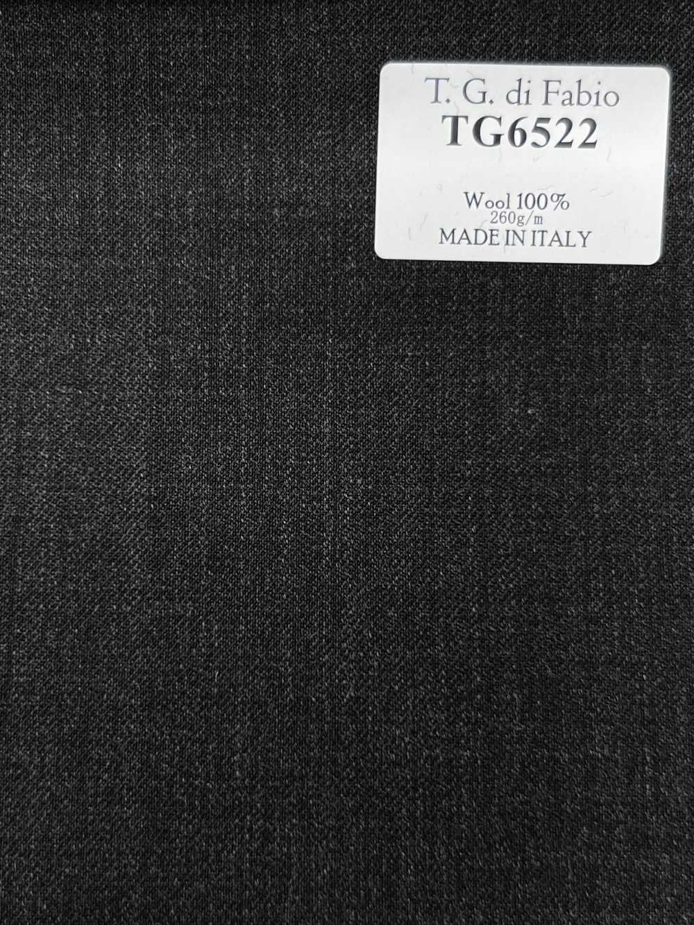 TG6522 T.G Di FABIO Gris uni[Tissu] HOSOI SYOJI