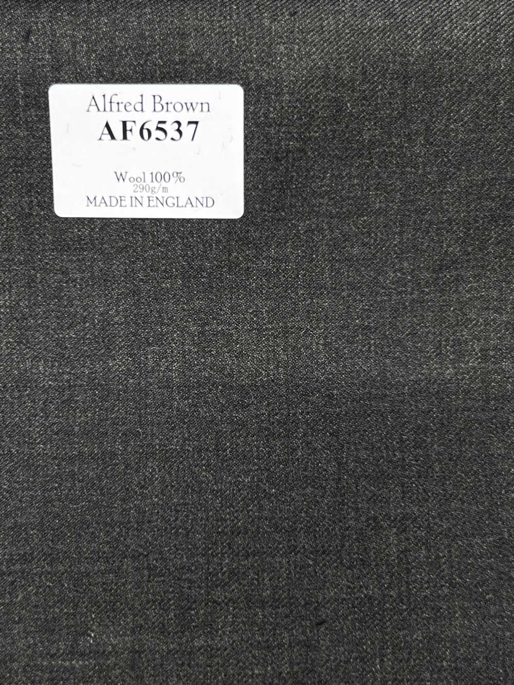 AF6537 Alfred Brown bleu marine foncé uni[Textile] HOSOI SYOJI