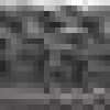 Gris Foncé