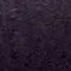 Violet Prune