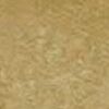 Gris Bronze