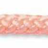 Rose Coquillage
