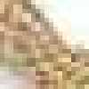Beige Beige
