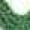 Vert Pomme Vert Pomme