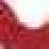 Rouge Rouge