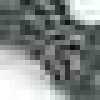 Gris Gris