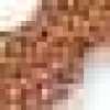 Chameau