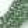 Menthe