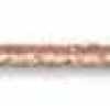 Rose Coquillage Rose Coquillage