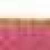 Rose Cerise Rose Cerise