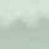 Gris Clair