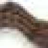 Marron Marron