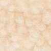 Beige Clair