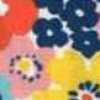 Saita Saita-Multicolore