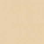 Beige Clair Beige Clair