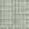 Gris Clair
