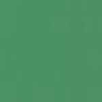 Vert Bouteille