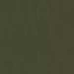 Kaki Militaire