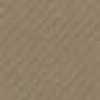 Beige Beige