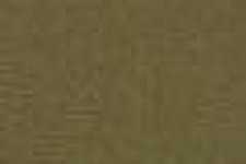 Beige Camel