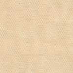 Beige Sable