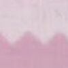 Rose Cyclamen Rose Cyclamen
