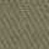 Beige Kaki