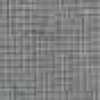 Gris Clair