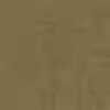 Beige Camel